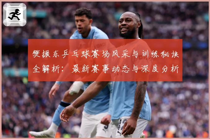 樊振东乒乓球赛场风采与训练秘诀全解析：最新赛事动态与深度分析